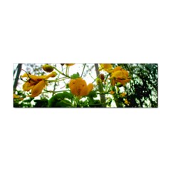 Yellow Flowers Bumper Sticker