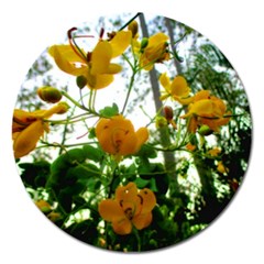 Yellow Flowers Magnet 5  (round) by SaraThePixelPixie