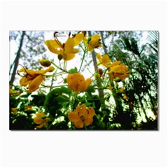 Yellow Flowers Postcards 5  X 7  (10 Pack) by SaraThePixelPixie