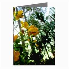 Yellow Flowers Greeting Card (8 Pack)