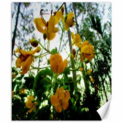 Yellow Flowers Canvas 8  X 10  (unframed)