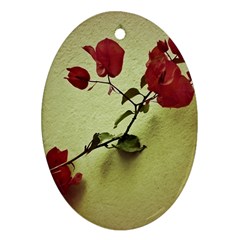 Santa Rita Flower In Warm Colors Wall Photo Ornament (oval)