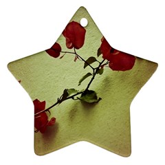 Santa Rita Flower In Warm Colors Wall Photo Ornament (star) by dflcprints