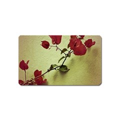 Santa Rita Flower In Warm Colors Wall Photo Magnet (name Card) by dflcprints