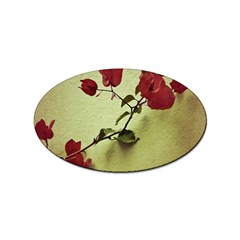 Santa Rita Flower In Warm Colors Wall Photo Sticker Oval (100 Pack) by dflcprints