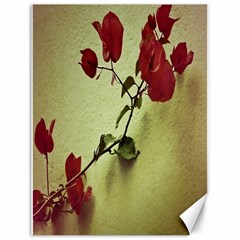 Santa Rita Flower Canvas 18  X 24  (unframed) by dflcprints