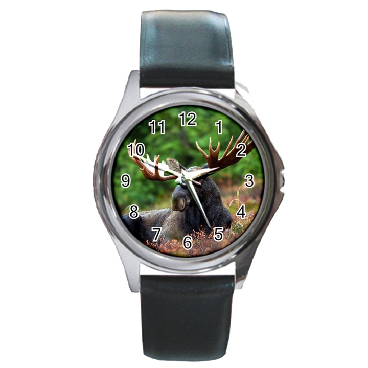 Majestic Moose Round Leather Watch (Silver Rim)