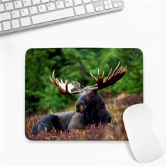 Majestic Moose Small Mouse Pad (rectangle) by StuffOrSomething