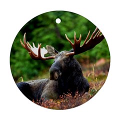 Majestic Moose Round Ornament