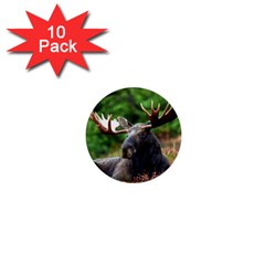 Majestic Moose 1  Mini Button (10 Pack)