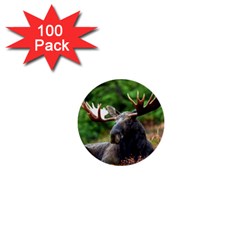 Majestic Moose 1  Mini Button (100 Pack) by StuffOrSomething