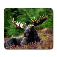 Majestic Moose Large Mouse Pad (rectangle) by StuffOrSomething