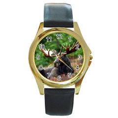 Majestic Moose Round Leather Watch (gold Rim)  by StuffOrSomething