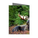 Majestic Moose Mini Greeting Card Right