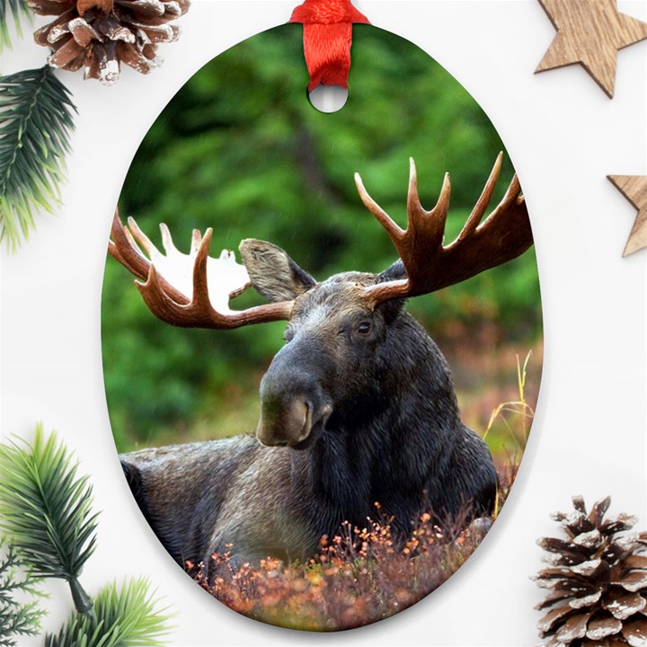 Majestic Moose Oval Ornament (Two Sides)