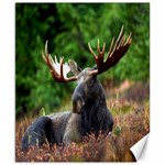 Majestic Moose Canvas 8  x 10  (Unframed) 8.15 x9.66  Canvas - 1