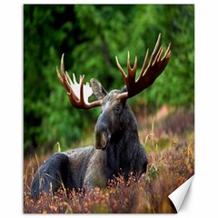 Majestic Moose Canvas 16  X 20  (unframed)