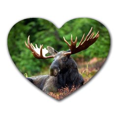 Majestic Moose Mouse Pad (heart) by StuffOrSomething