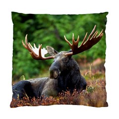 Majestic Moose Cushion Case (single Sided) 