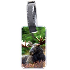 Majestic Moose Luggage Tag (two Sides) by StuffOrSomething