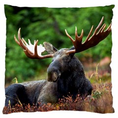 Majestic Moose Large Cushion Case (single Sided) 