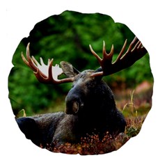 Majestic Moose 18  Premium Round Cushion  by StuffOrSomething