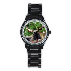 Majestic Moose Sport Metal Watch (black) by StuffOrSomething