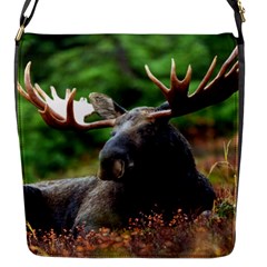 Majestic Moose Flap Closure Messenger Bag (small) by StuffOrSomething