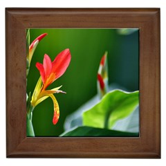 Lily 1 Framed Ceramic Tile