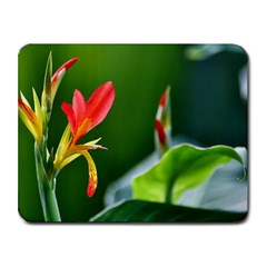 Lily 1 Small Mouse Pad (rectangle)