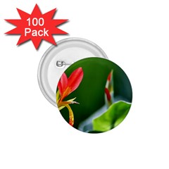 Lily 1 1 75  Button (100 Pack)