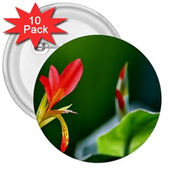 Lily 1 3  Button (10 Pack) by Cardsforallseasons