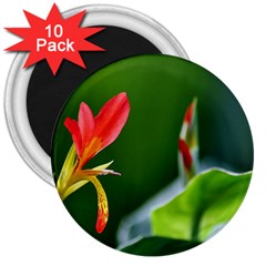 Lily 1 3  Button Magnet (10 Pack)