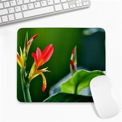 Lily 1 Large Mouse Pad (rectangle)