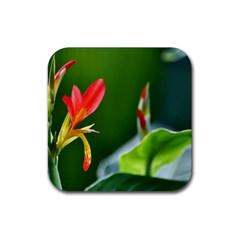 Lily 1 Drink Coaster (square)