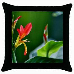 Lily 1 Black Throw Pillow Case by Cardsforallseasons