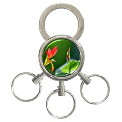 Lily 1 3-ring Key Chain