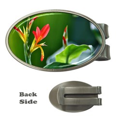 Lily 1 Money Clip (oval)