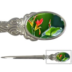 Lily 1 Letter Opener