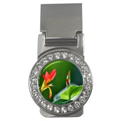 Lily 1 Money Clip (cz)