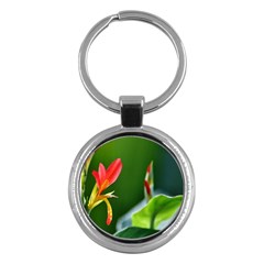 Lily 1 Key Chain (round)