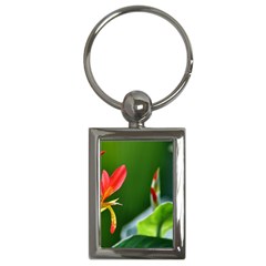 Lily 1 Key Chain (rectangle) by Cardsforallseasons