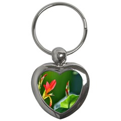 Lily 1 Key Chain (heart)