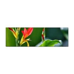 Lily 1 Bumper Sticker 10 Pack