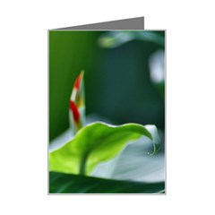 Lily 1 Mini Greeting Card