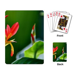 Lily 1 Playing Cards Single Design