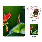 Lily 1 Playing Cards Single Design Back