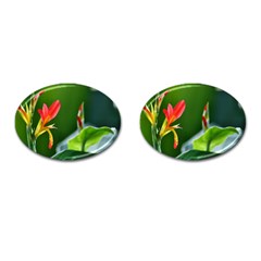 Lily 1 Cufflinks (oval) by Cardsforallseasons