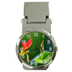 Lily 1 Money Clip With Watch