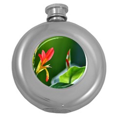 Lily 1 Hip Flask (round) by Cardsforallseasons